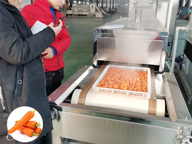 食品蔬菜微波殺菌設(shè)備安全級別要求非常高